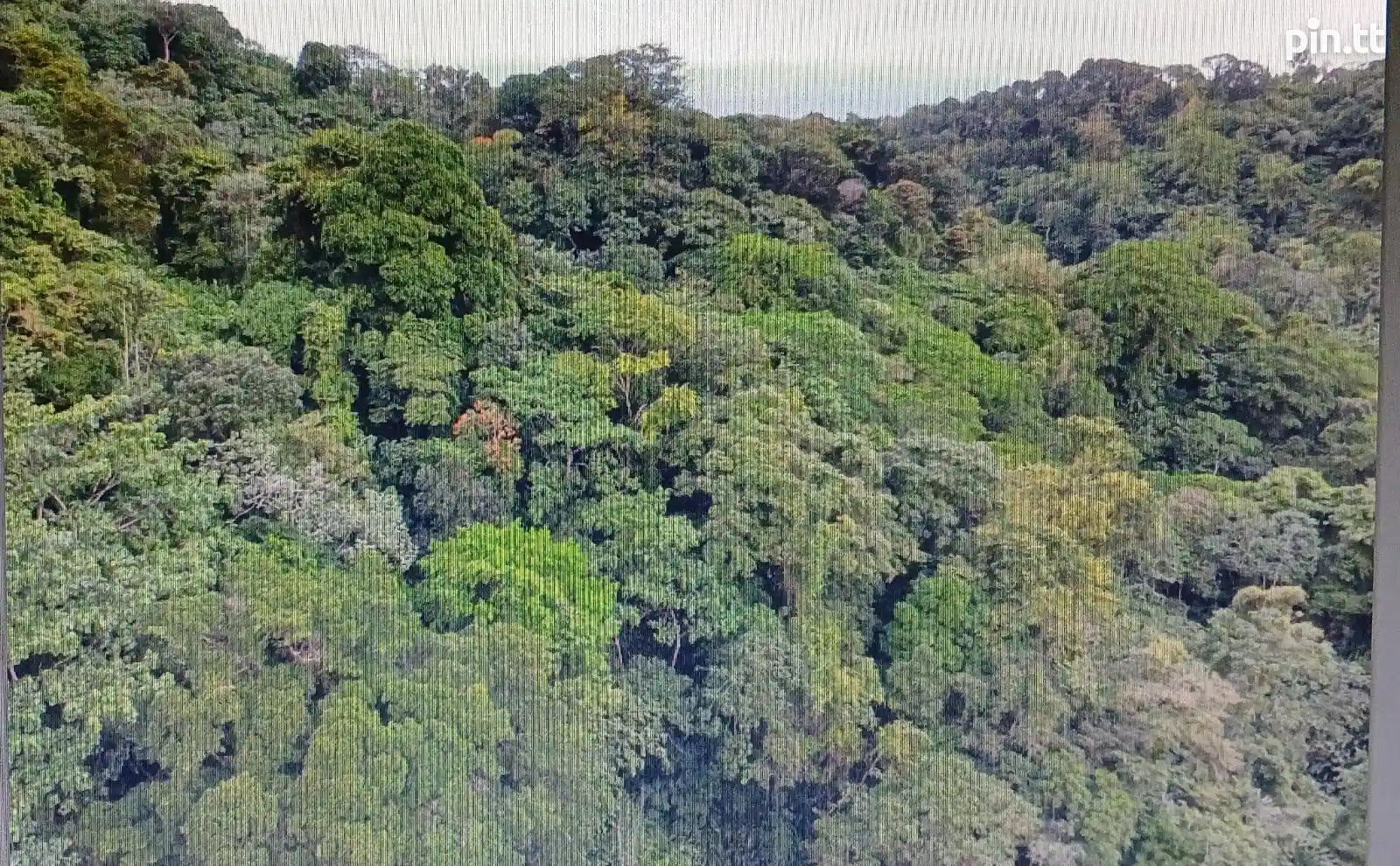 69a5ad2e96d66dc0ebe3eb2b44deece0