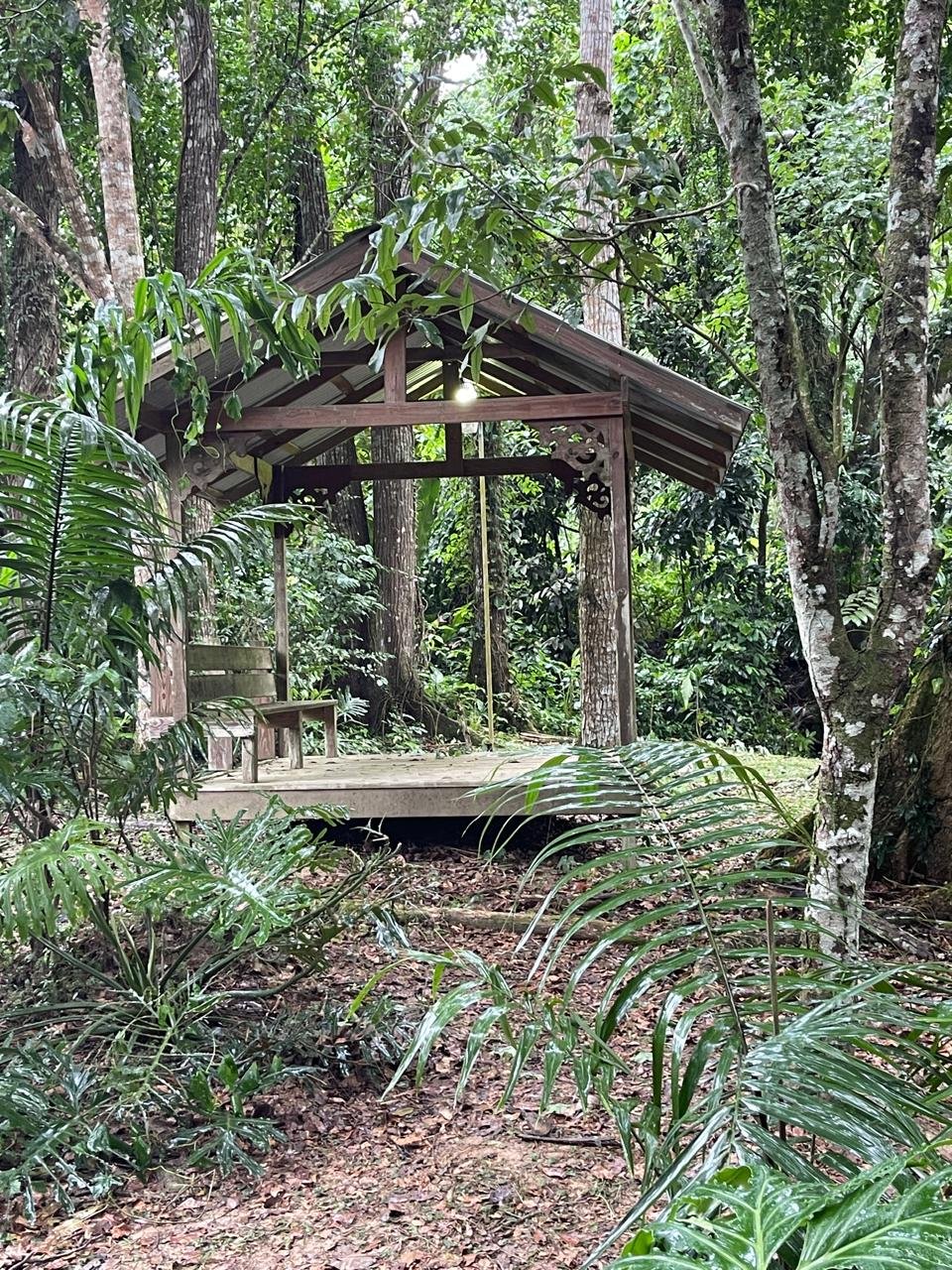 WhatsApp Image 2025-12-23 at 17.20.23 (17)