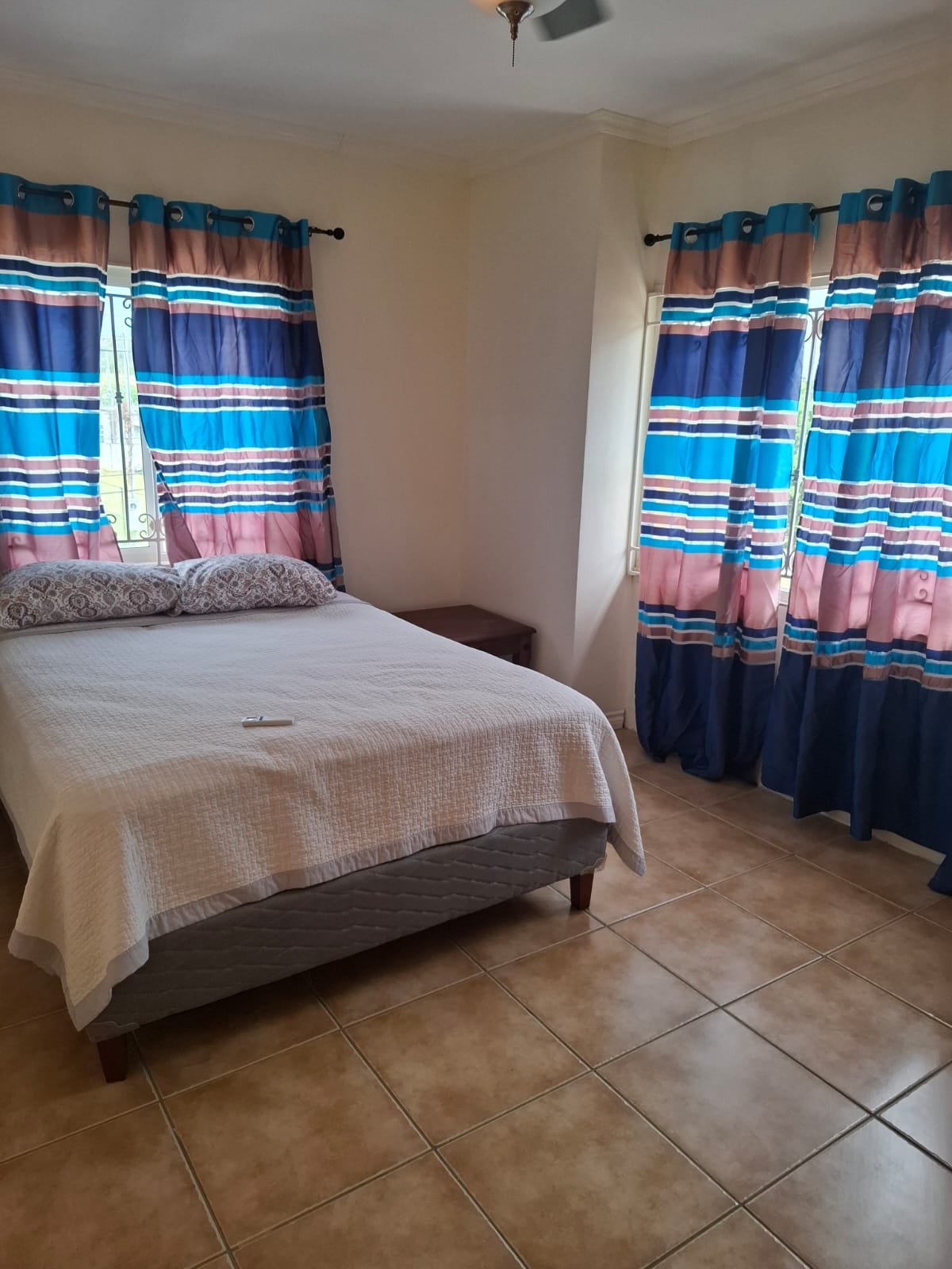 WhatsApp Image 2026-03-03 at 09.00.57